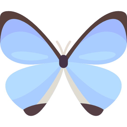 Butterfly animals insect moths icon Butterfly animals insect moths icon