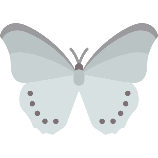 Butterfly butterfly animals moths icon Butterfly butterfly animals moths icon