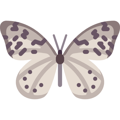 Butterfly butterfly moths moth icon Butterfly butterfly moths moth icon