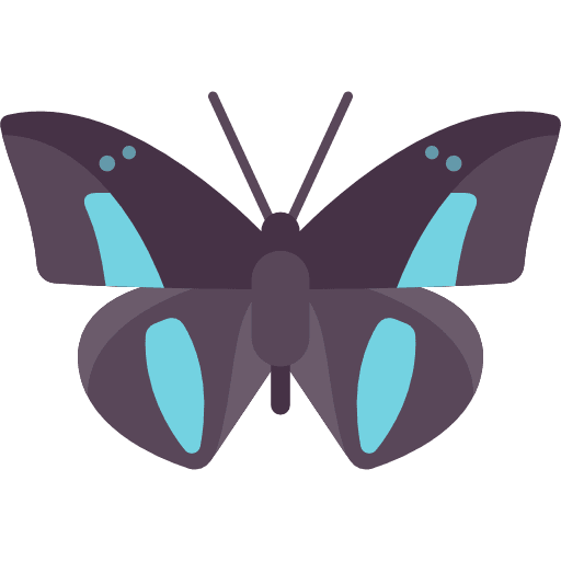 Butterfly insect animals moths icon Butterfly insect animals moths icon