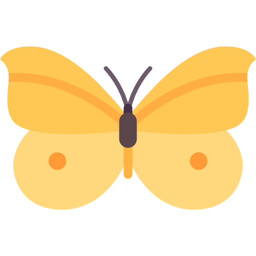 Butterfly insect moths butterfly icon