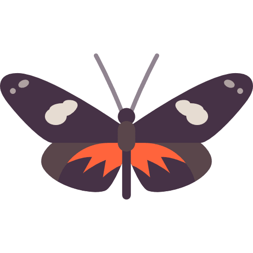 Butterfly animals butterfly insect icon Butterfly animals butterfly insect icon