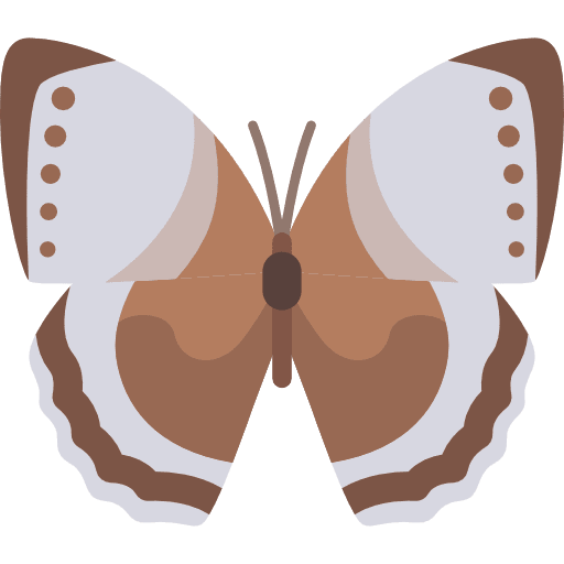 Butterfly animals butterfly moths icon Butterfly animals butterfly moths icon