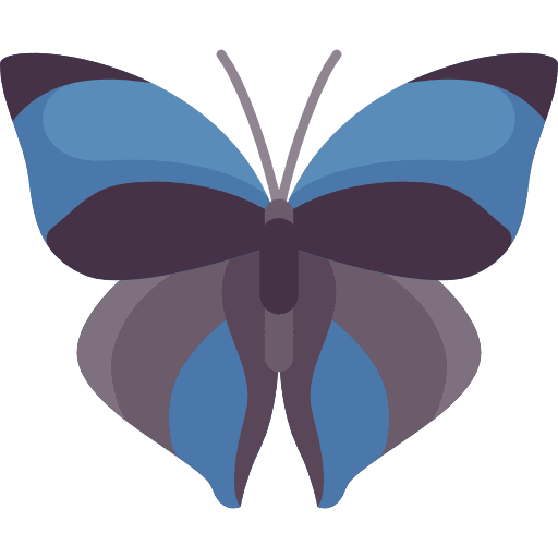 Butterfly animals butterfly moths icon Butterfly animals butterfly moths icon