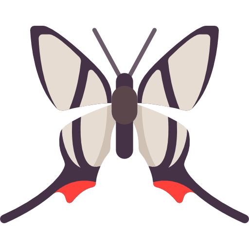 Butterfly animals insect moths icon Butterfly animals insect moths icon