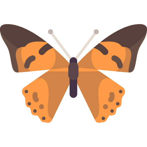 Butterfly animals insect moths icon Butterfly animals insect moths icon
