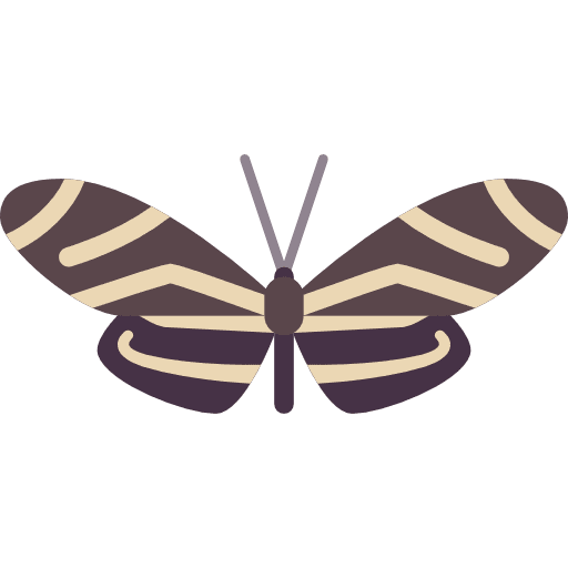 Butterfly butterfly insect animals icon Butterfly butterfly insect animals icon