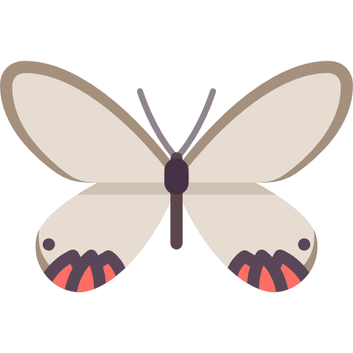 Butterfly butterfly insect animals icon Butterfly butterfly insect animals icon