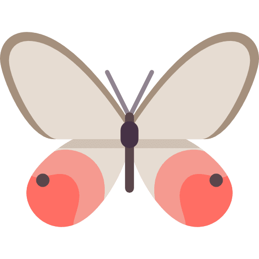 Butterfly butterfly moths insect icon Butterfly butterfly moths insect icon