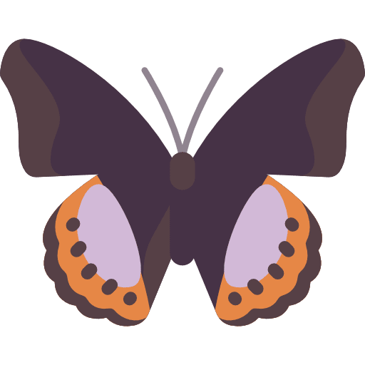 Butterfly insect animals moths icon Butterfly insect animals moths icon