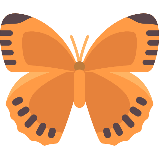 Butterfly insect animals moths icon Butterfly insect animals moths icon