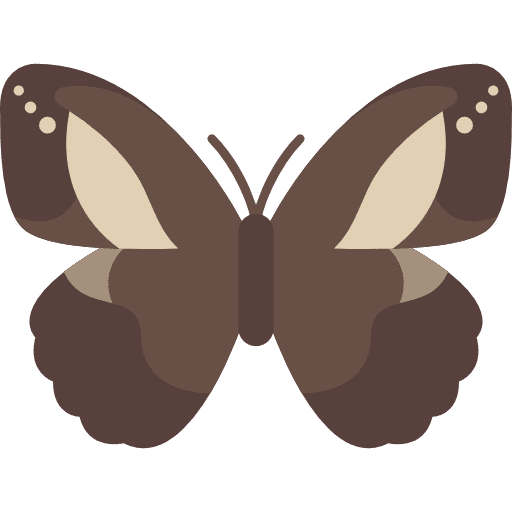 Butterfly moths butterfly insect icon Butterfly moths butterfly insect icon