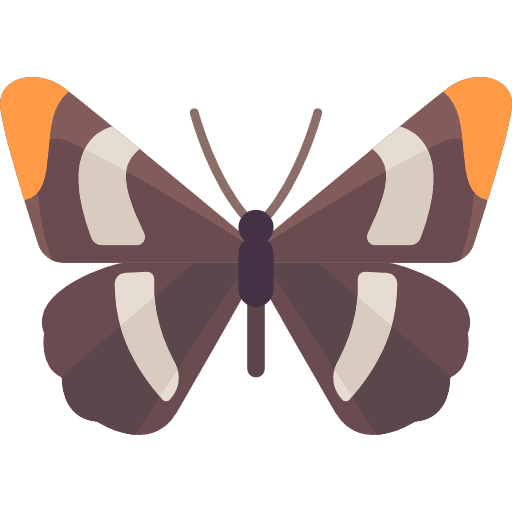 Butterfly animals insect butterfly icon Butterfly animals insect butterfly icon