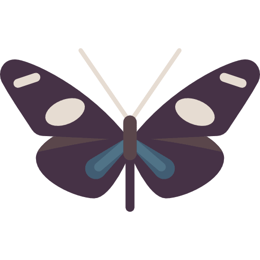 Butterfly animals moths insect icon Butterfly animals moths insect icon