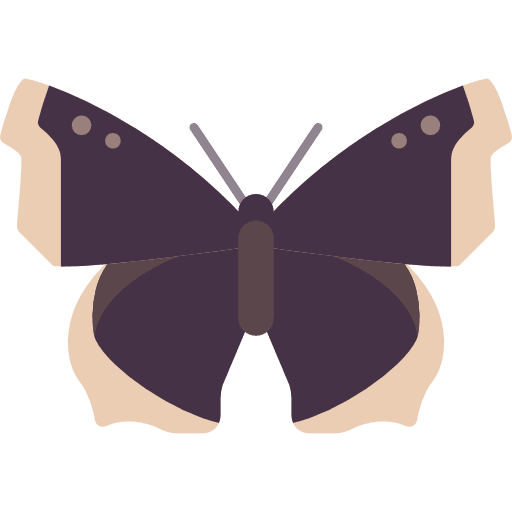 Butterfly butterfly insect moths icon Butterfly butterfly insect moths icon