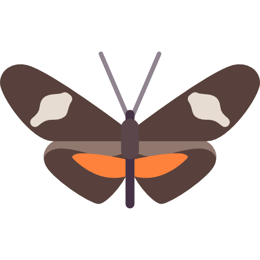 Butterfly butterfly moths insect icon Butterfly butterfly moths insect icon