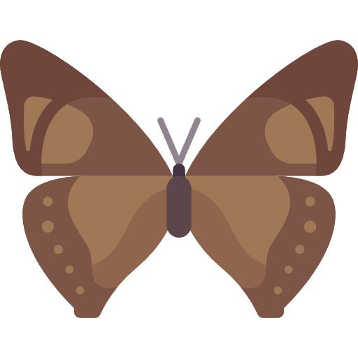 Butterfly insect animals butterfly icon Butterfly insect animals butterfly icon