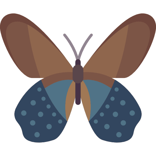 Butterfly moths animals insect icon Butterfly moths animals insect icon