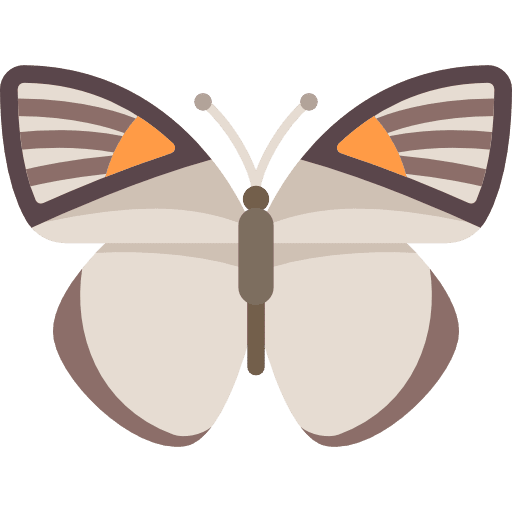 Butterfly moths butterfly animals icon Butterfly moths butterfly animals icon