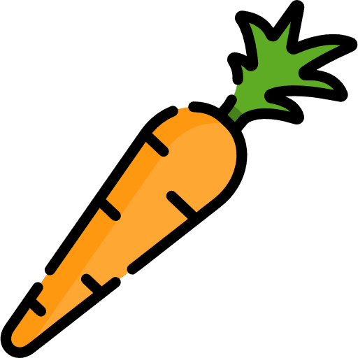 Carrot carrot vegan food icon