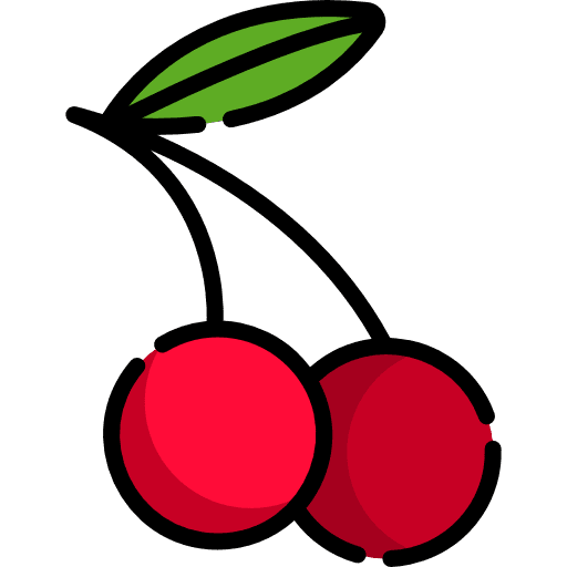 Cherry vegan vegetarian organic icon