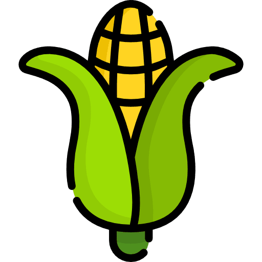 Corn healthy food organic food icon
