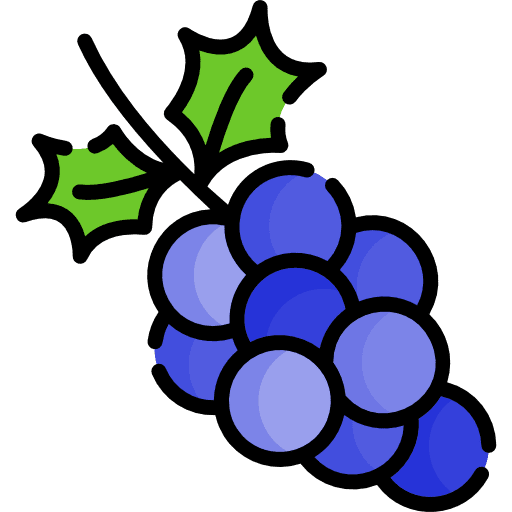 Grapes fruit diet food icon