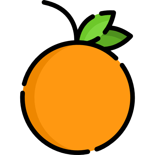 Orange diet organic food and restaurant icon