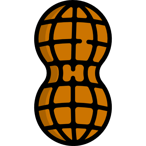 Peanut nut peanuts snack icon