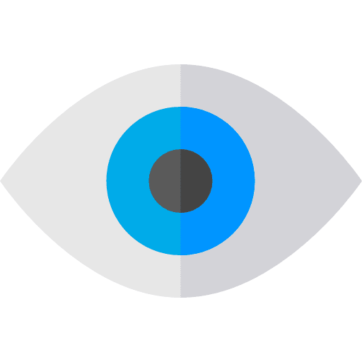 Visual interface visible opened icon