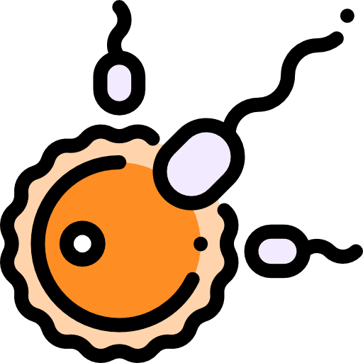 Fertilization fertilization reproduction fertilize icon
