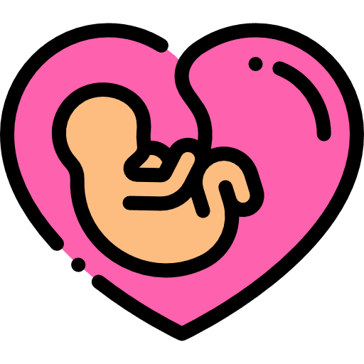 Pregnant fetus baby uterus icon