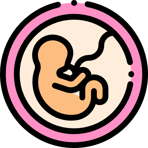 Fetus kid and baby pregnancy motherhood icon