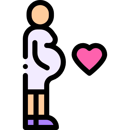 Pregnant pregnant maternity women icon