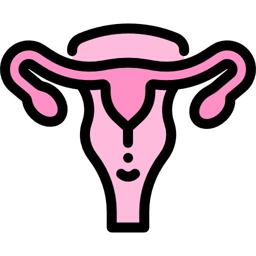 Uterus medical fallopian tubes kid and baby icon