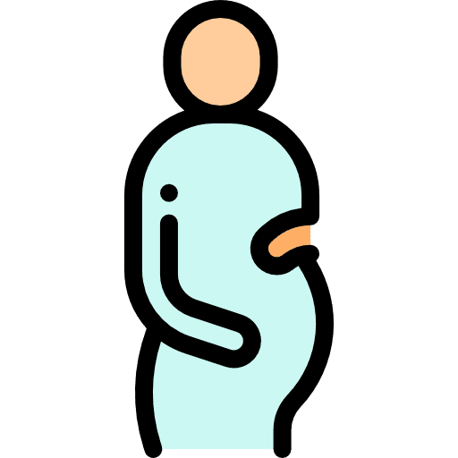 Pregnant pregnancy woman people icon