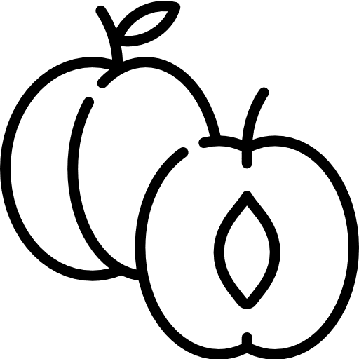 Apricot healthy food diet apricot icon