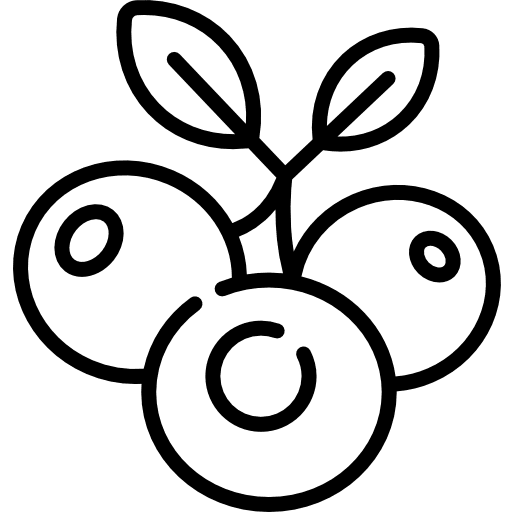 Blueberry blueberries blueberry dessert icon