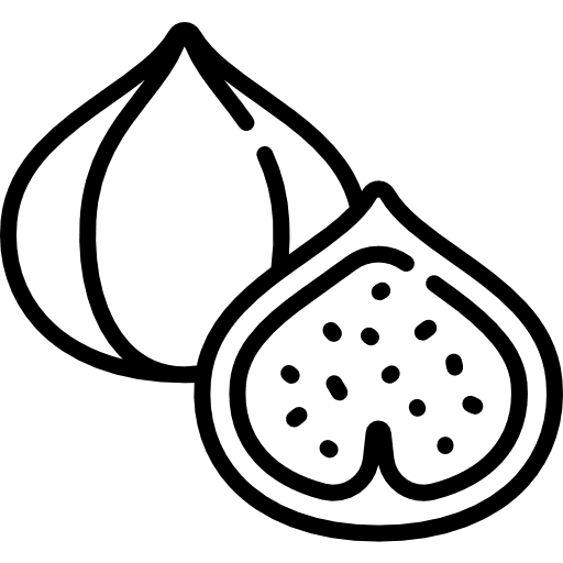 Fig vegetarian vegan fig icon