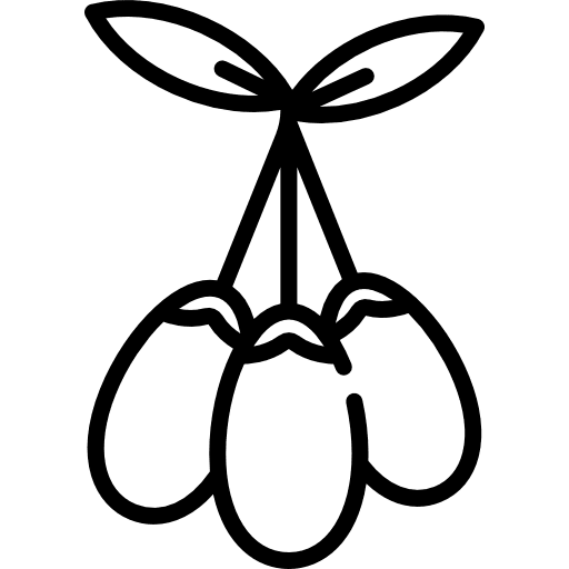 Goji goji fruit food icon