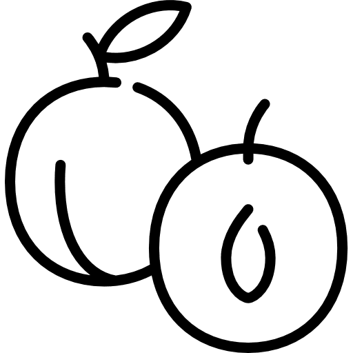 Plum fruit organic plum icon