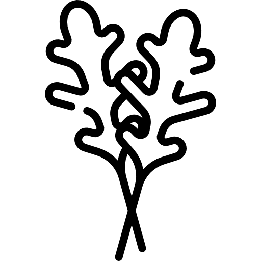 Arugula healthy food vegetables vegan icon