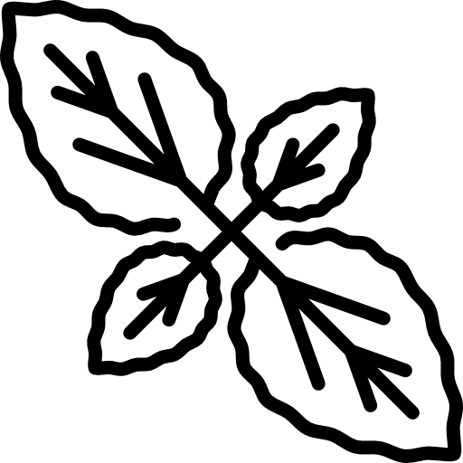 Basil vegetarian vegan herb icon