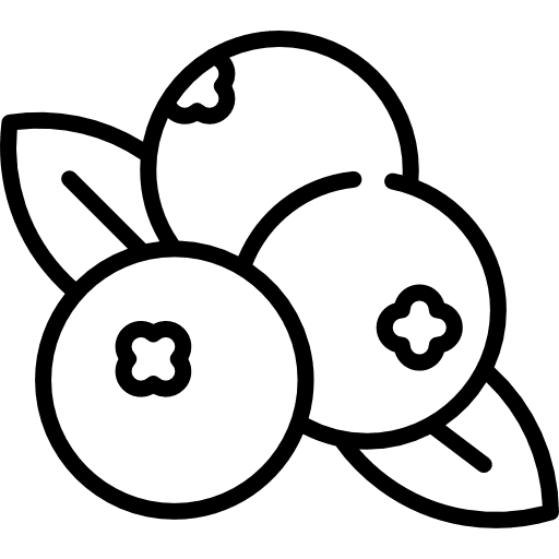 Berries bouquet berries food icon