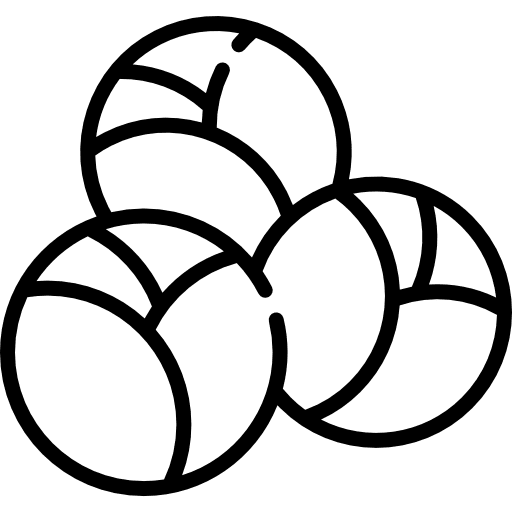 Brussels sprouts vegetarian food brussels sprouts icon