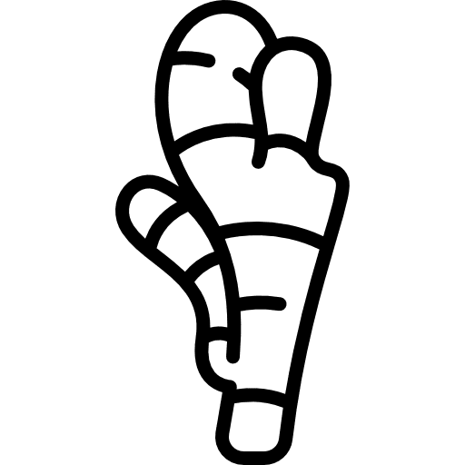 Ginger food and restaurant properties food icon