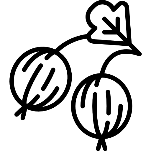 Gooseberry diet gooseberry healthy food icon