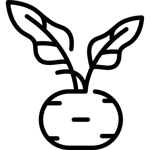 Kohlrabi diet organic vegan icon