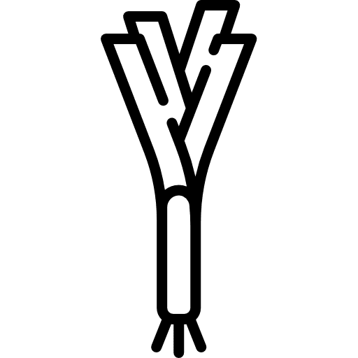 Leek vegetable vegetarian leek icon