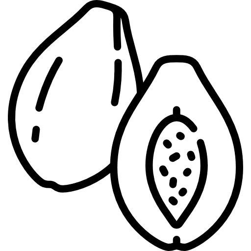 Papaya food and restaurant organic vegetarian icon